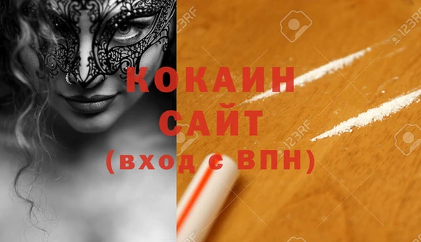 стафф Вязьма